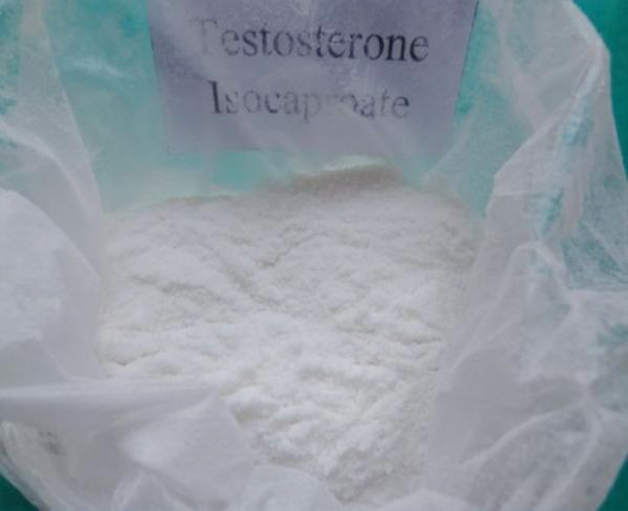 Anabolic Steroids Powder Testosterone Isocaproate CAS 15262-86-9 Pharmaceutical Raw Materials